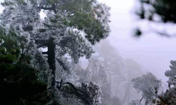 化学检验员高级工怎么考？有什么要求？行业前景如何？